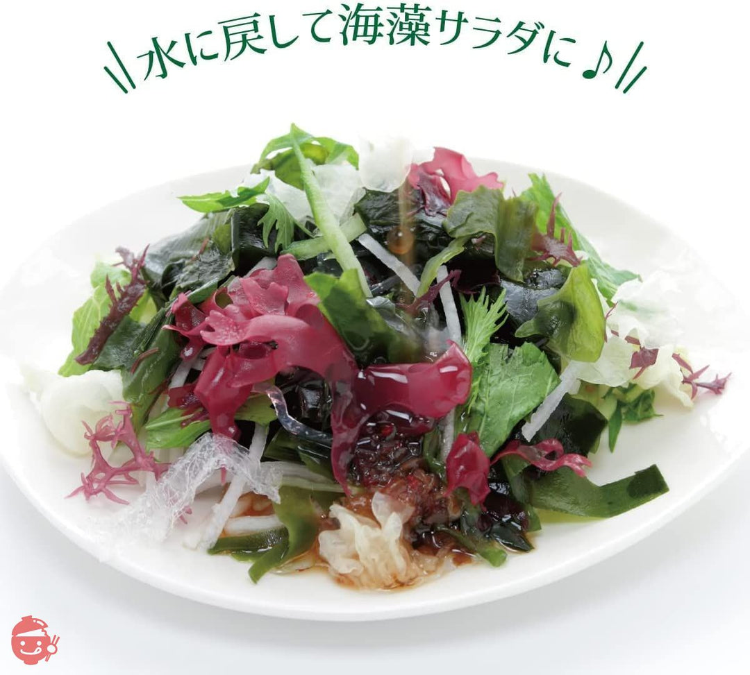 乾燥わかめ カット わかめ 500g ワカメ 業務用 大容量 海藻 美容 健康 便利なチャック付き! 肉厚 (調理しやすいカット形状) リニューアル版 【 瀬川本店 乾物専門問屋厳選 】の画像