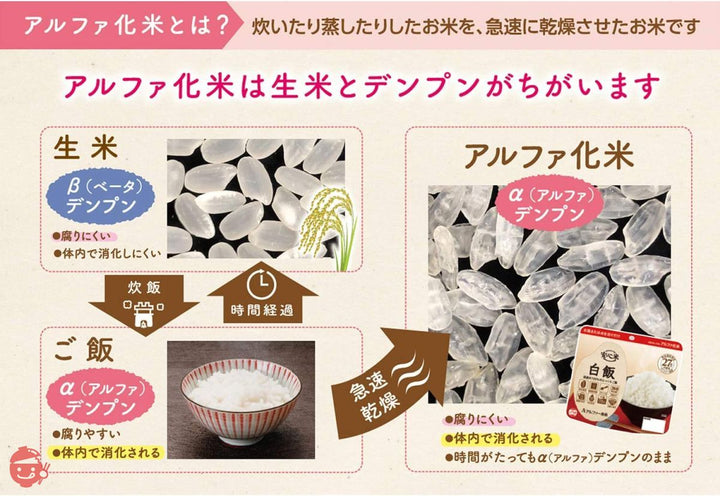 アルファー食品 安心米9食セット 900g【非常食】【常備用】【長期保存】【セット商品】の画像