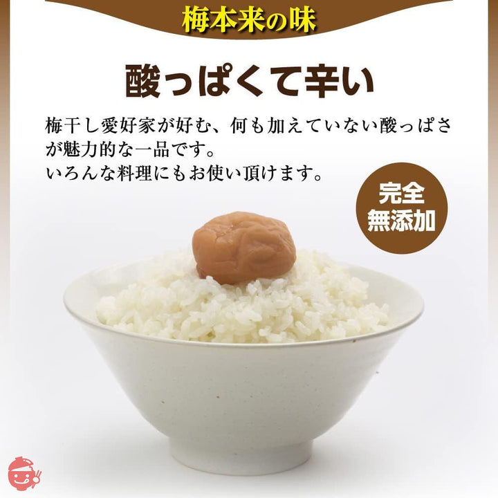梅干し 紀州南高梅 梅の一冨士 白干し梅 塩分約20% (500g)の画像