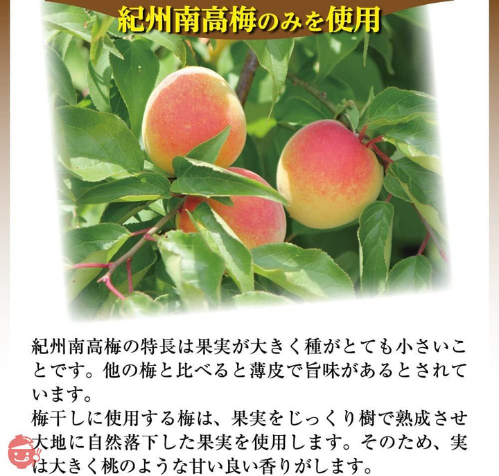 梅干し 紀州南高梅 梅の一冨士 白干し梅 塩分約20% (500g)の画像