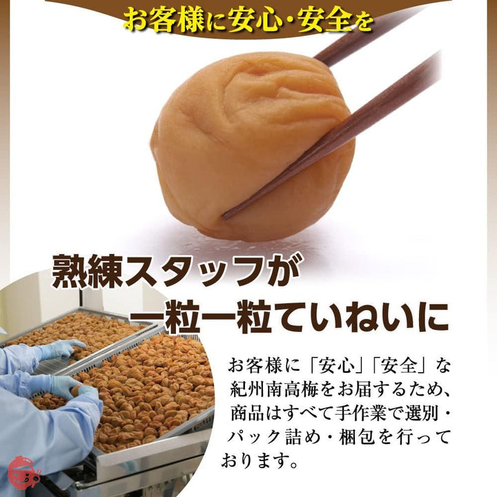 梅干し 紀州南高梅 梅の一冨士 白干し梅 塩分約20% (500g)の画像