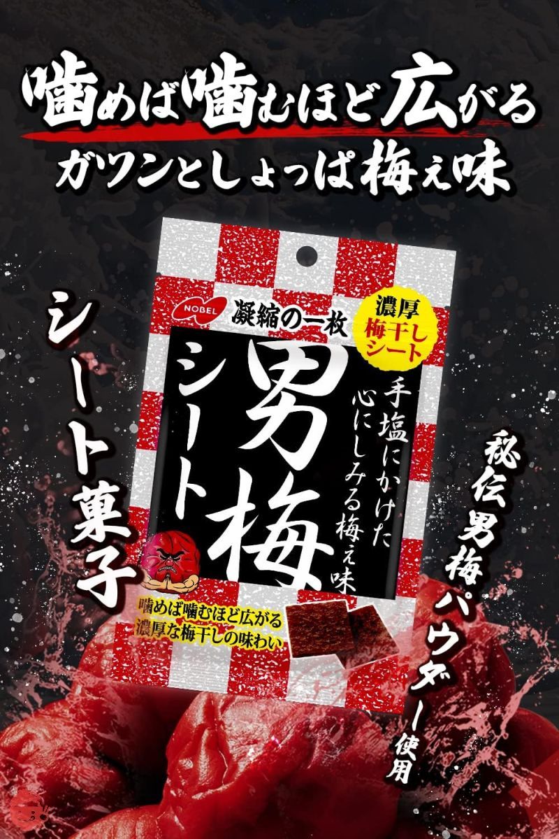 ノーベル 男梅シート 27g×6個の画像