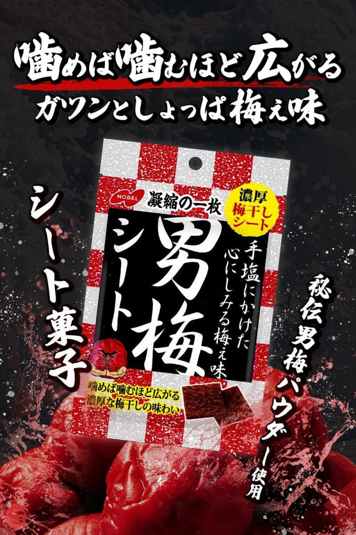ノーベル 男梅シート 27g×6個の画像