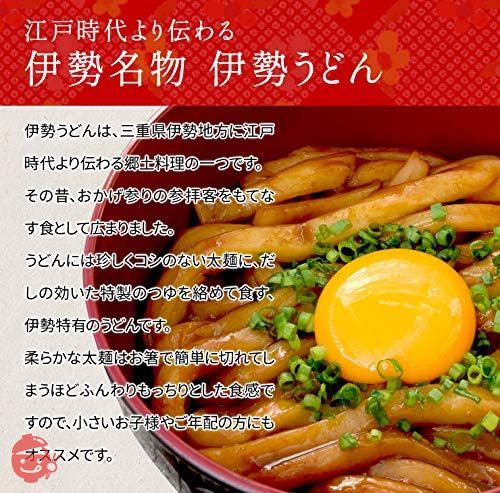 手打ち式伊勢うどん麺だけタイプ10食入 つゆ無(簡易パッケージうどん) 本場伊勢よりお届け 通販 伊勢うどんの画像