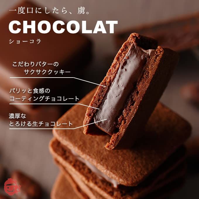 (バニラビーンズ)VANILLABEANS ショーコラ&パリトロセット 8個入 手提げ袋付き 個包装の画像