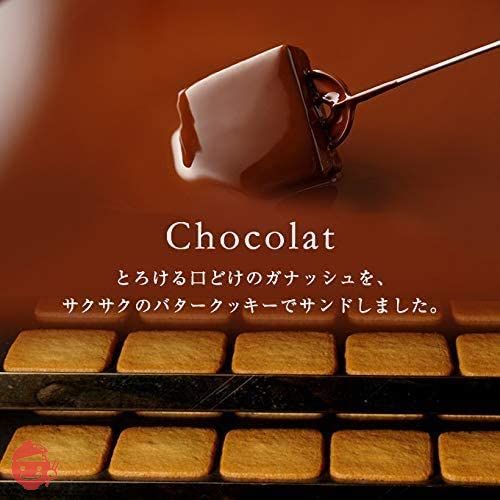 (バニラビーンズ)VANILLABEANS ショーコラ 16個入 手提げ袋付き 個包装の画像