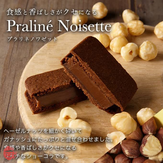 (バニラビーンズ)VANILLABEANS ショーコラ 16個入 手提げ袋付き 個包装の画像