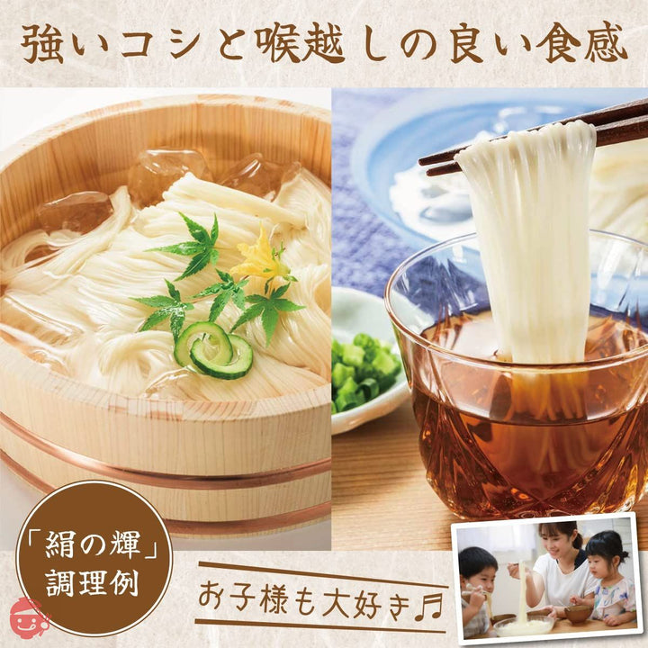 ICSselection 島原手延そうめん絹の輝 (900g)の画像