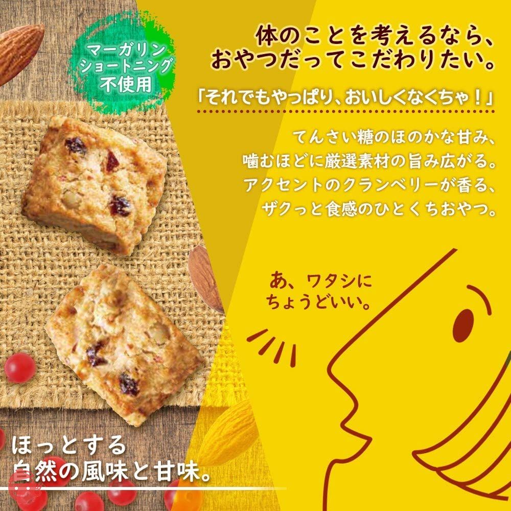 森永製菓 マクロビ派ビスケット アーモンドとクランベリー 100g×5個の画像