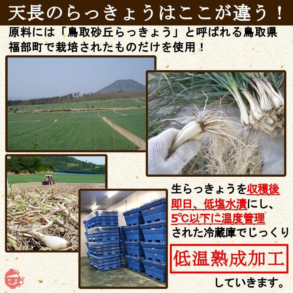 天長食品 らっきょう漬け 190gX3袋 鳥取砂丘 無添加 国産 低温熟成の画像