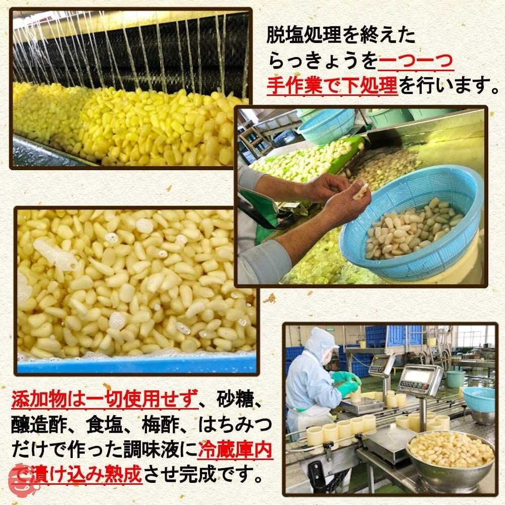 天長食品 らっきょう漬け 190gX3袋 鳥取砂丘 無添加 国産 低温熟成の画像