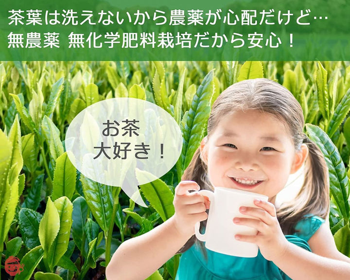 静岡県産 一番茶使用 カテキンまるごと粉末緑茶 無農薬・無化学肥料栽培 栄養まるごと食べるお茶 湯飲み200杯分 100g入 (2袋)の画像