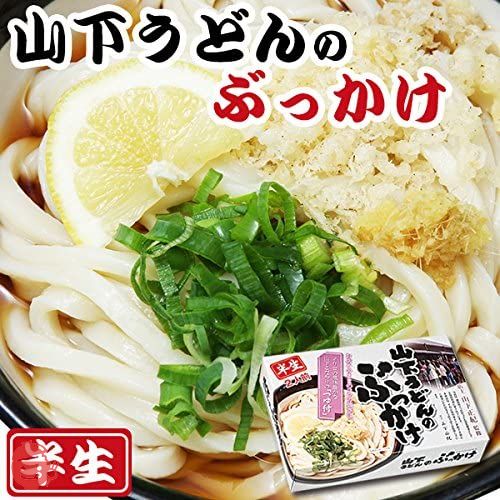 本場 讃岐うどん 山下のぶっかけうどん 2食入 X3箱 セット （半生麺