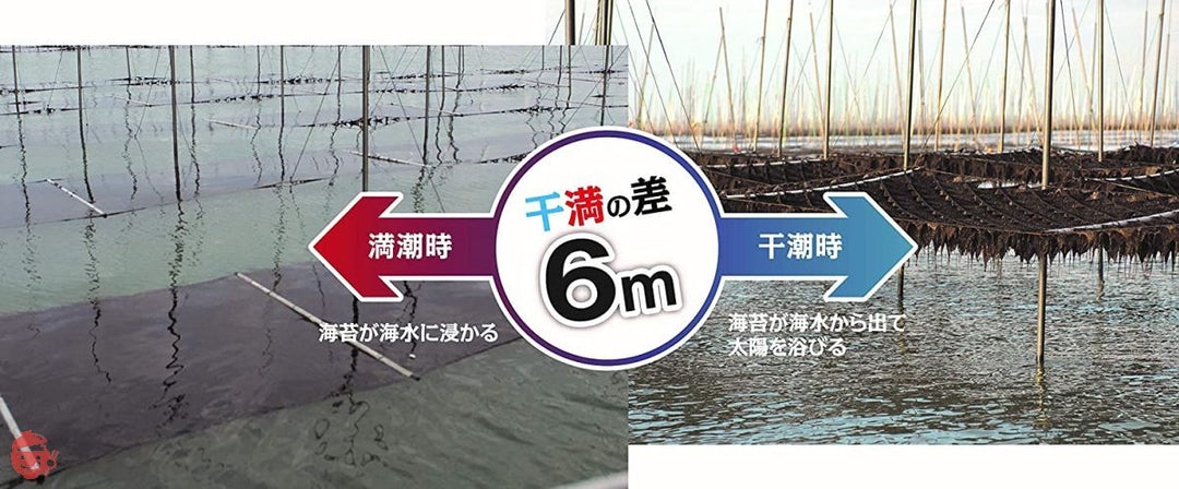佐賀海苔 一等級佐賀県有明海産焼のり 全形8枚×10袋の画像