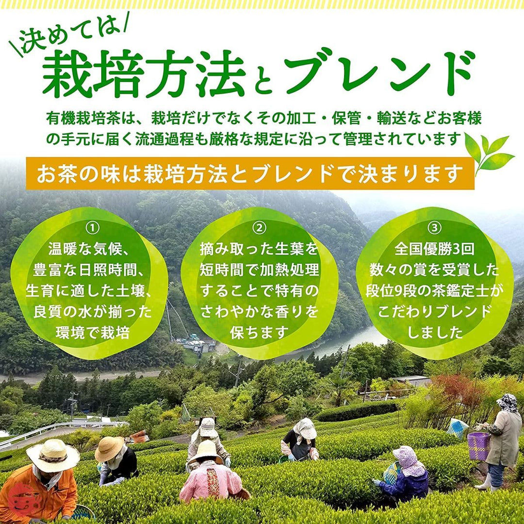 煎茶 粉末 有機粉末緑茶 80g【国産 無農薬 緑茶】オーガニック 粉末緑茶 緑茶 お茶 カテキン カテキン緑茶 日本茶 ギフト お茶の葉 プレゼント 京都宇治ヤマサンの画像