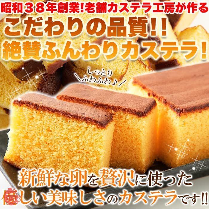 Tennen Seikatsu Nagasaki Castella (3 pieces) large capacity
