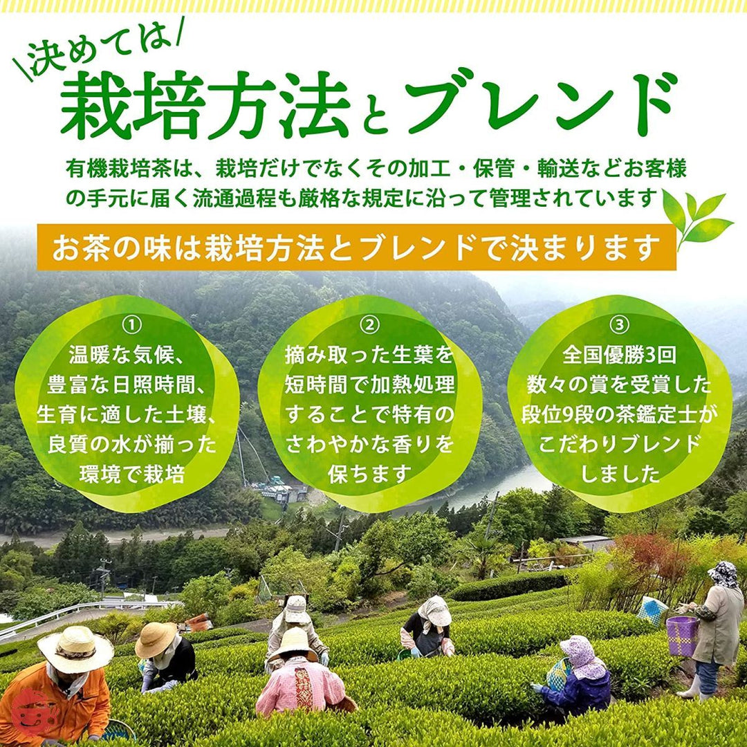 煎茶 国産 無農薬 茶葉 有機煎茶 80g オーガニック 水出し茶 ギフト プレゼント 緑茶 カテキン お茶 カテキン緑茶 日本茶 お茶の葉 京都宇治ヤマサンの画像