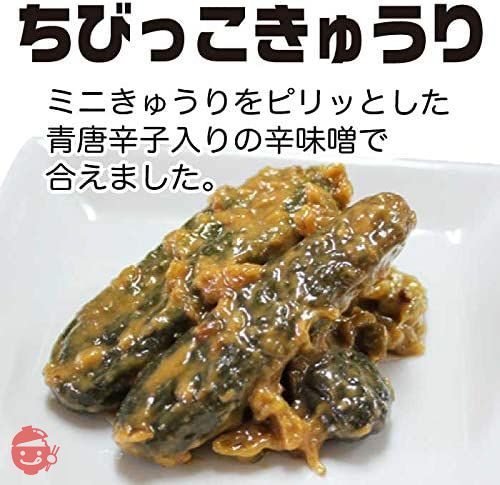 漬け物 漬物 ご飯のお供 ちびっこきゅうり 230g×2袋 お取り寄せ 和風惣菜 おかず お酒のおつまみの画像