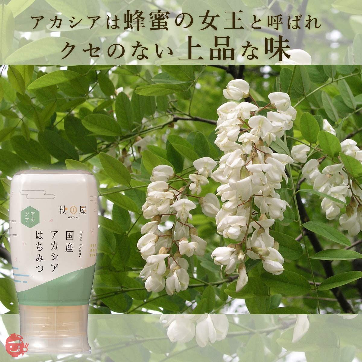 Domestic Pure] Honey Specialty Store Akitaya Acacia Honey 300g