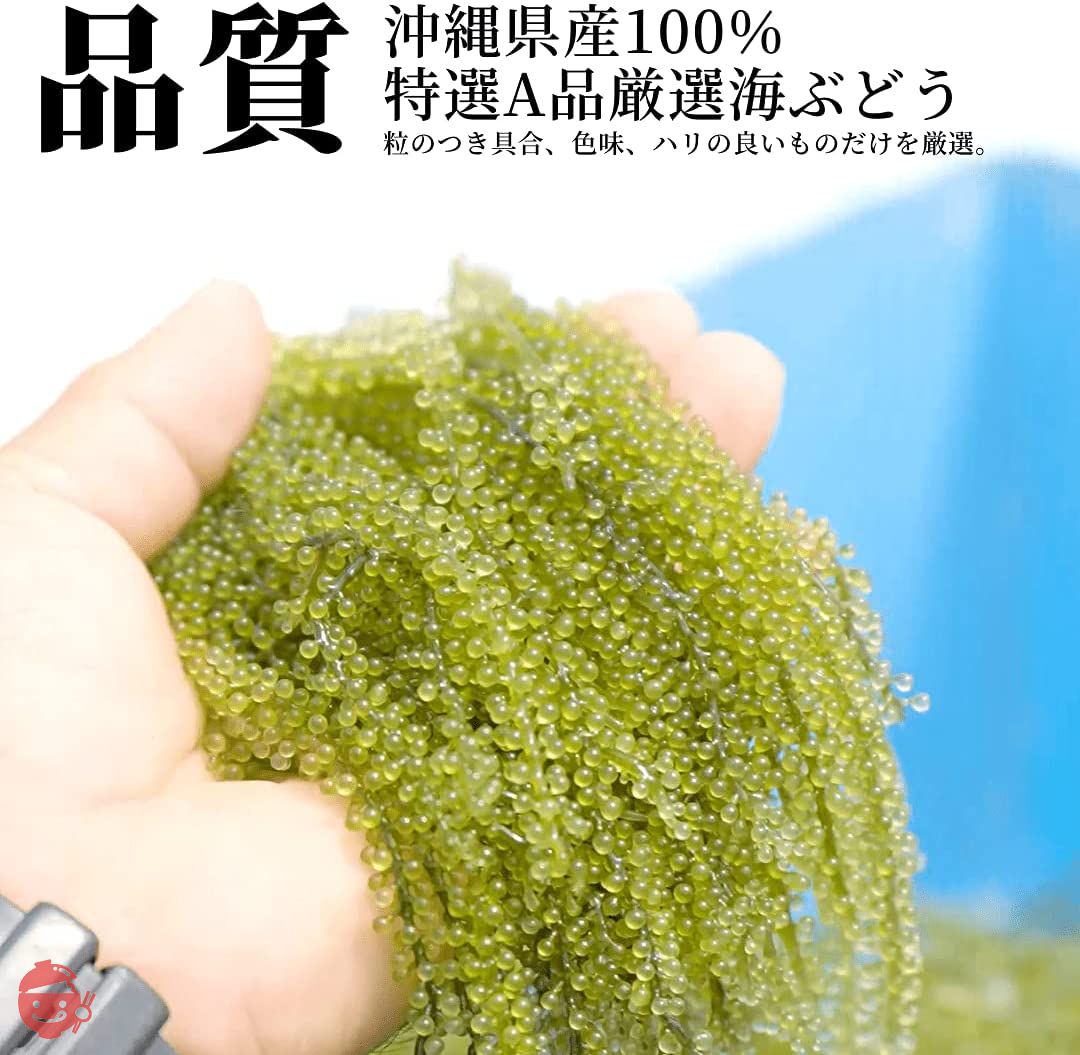 沖ピ 特選A品 海ぶどう 100％沖縄県産 専用シークヮーサータレ付き (240g(120g×2パック))の画像