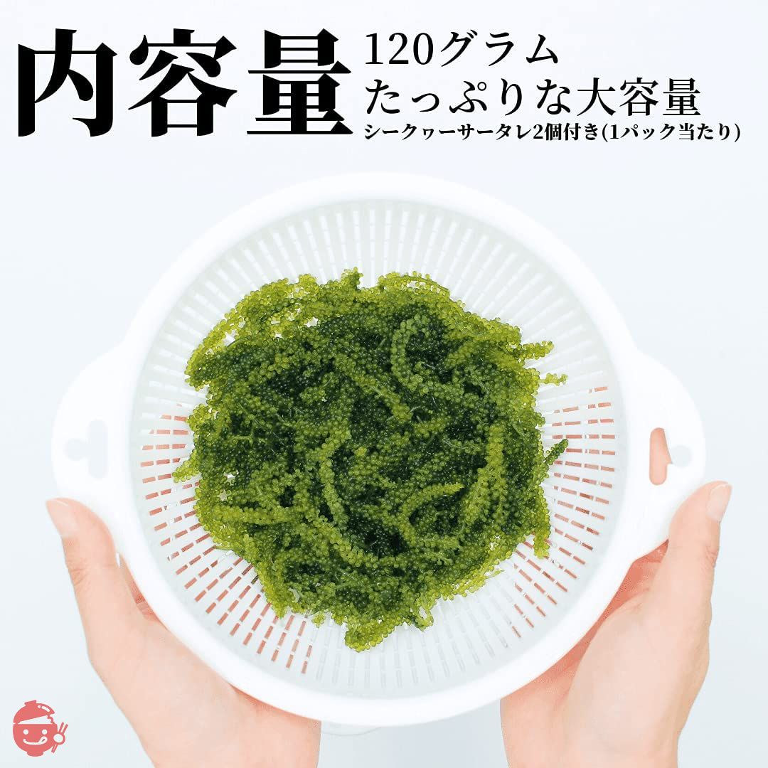 沖ピ 特選A品 海ぶどう 100％沖縄県産 専用シークヮーサータレ付き (360g(120g×3パック))の画像