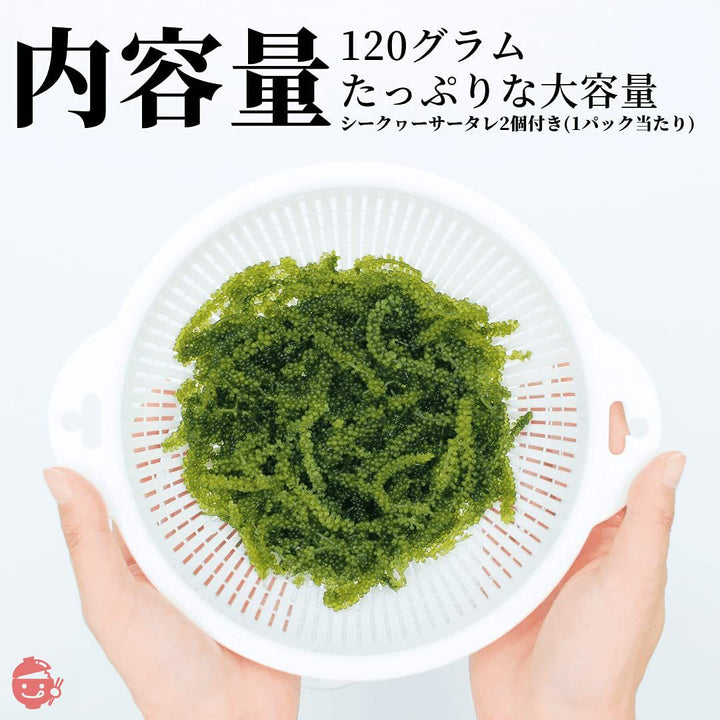 沖ピ 特選A品 海ぶどう 100％沖縄県産 専用シークヮーサータレ付き (240g(120g×2パック))の画像