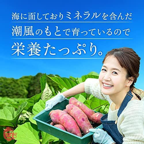 天日干し シロタ 紅はるか 干し芋 1kg 国産 訳あり 無添加 茨城県産 和菓子 さつまいも ギフト W1の画像