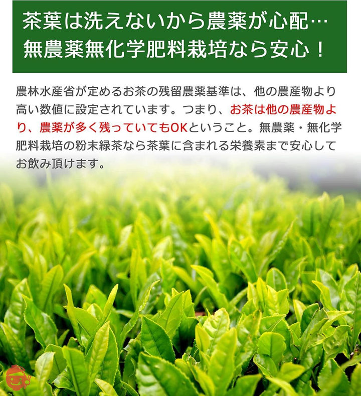 静岡県産 一番茶使用 カテキンまるごと粉末緑茶 無農薬・無化学肥料栽培 栄養まるごと食べるお茶 湯飲み200杯分 100g入 (1袋)の画像
