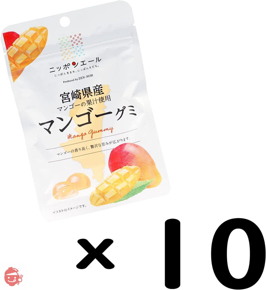 全農 宮崎県産マンゴーグミ 40g×10袋の画像