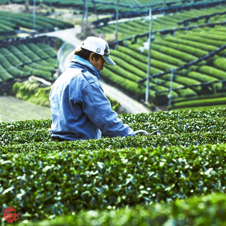 山城物産 茶 ティーバッグ 国産 業務用 10gx100袋 (玄米茶)の画像