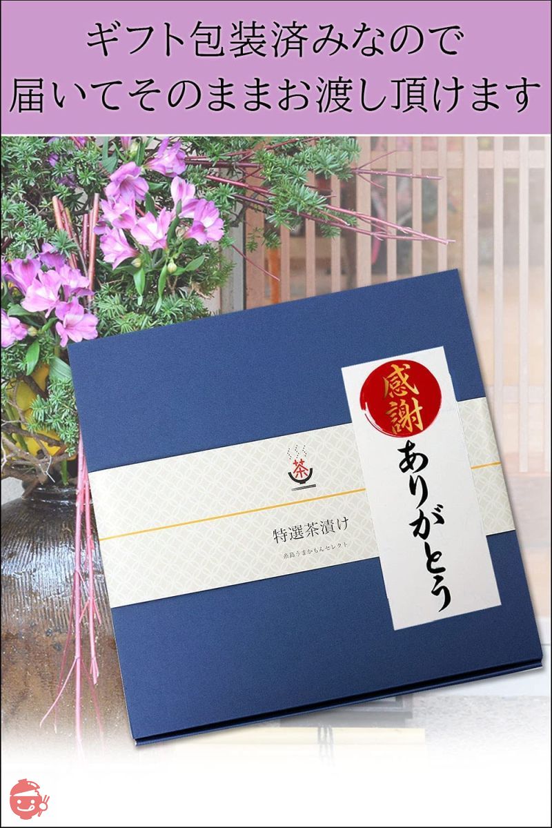 初任給 プレゼント お茶漬けセット ギフト 高級食材 詰め合わせセット ギフト包装済みの画像