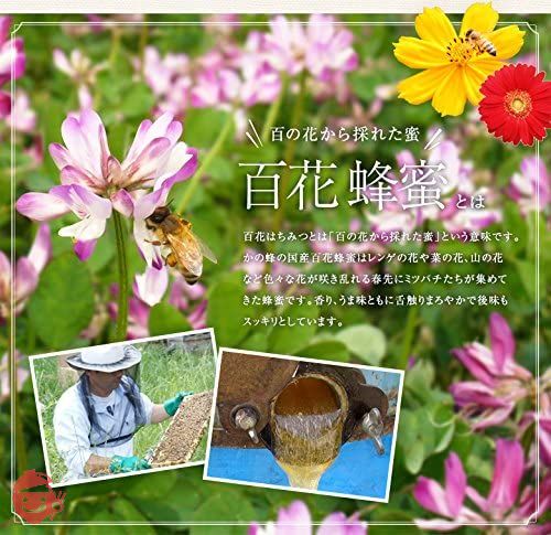 Honey Store [Kano Bee] Domestic Hundred Flowers Honey 500g
