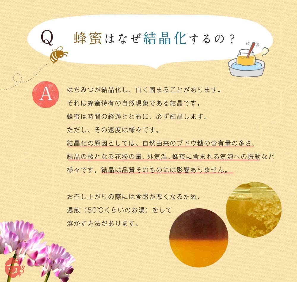 はちみつ 専門店【かの蜂】 国産 百花 蜂蜜 500g 完熟 の 純粋 蜂蜜 (とんがり容器)の画像