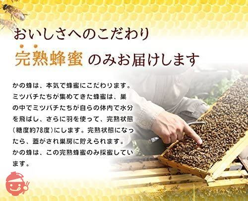 はちみつ 専門店【かの蜂】 国産 みかん 蜂蜜 500g 完熟 の 純粋 蜂蜜 （とんがり容器）の画像