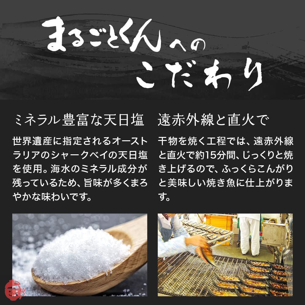 沼津のひもの「まるごとくん」アジ ８枚 静岡県沼津 干物（骨まで食べられる焼き魚・保存食・非常食・常温6ヶ月保存可）の画像