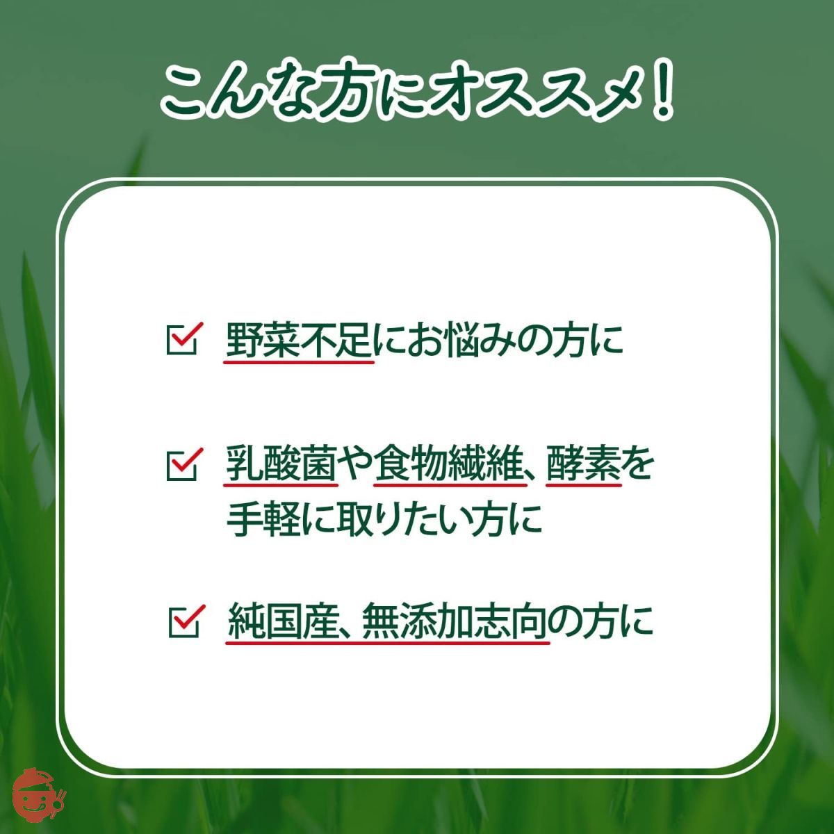NIHON YAKKEN 金の青汁 25種の純国産野菜 乳酸菌×酵素 (65パック