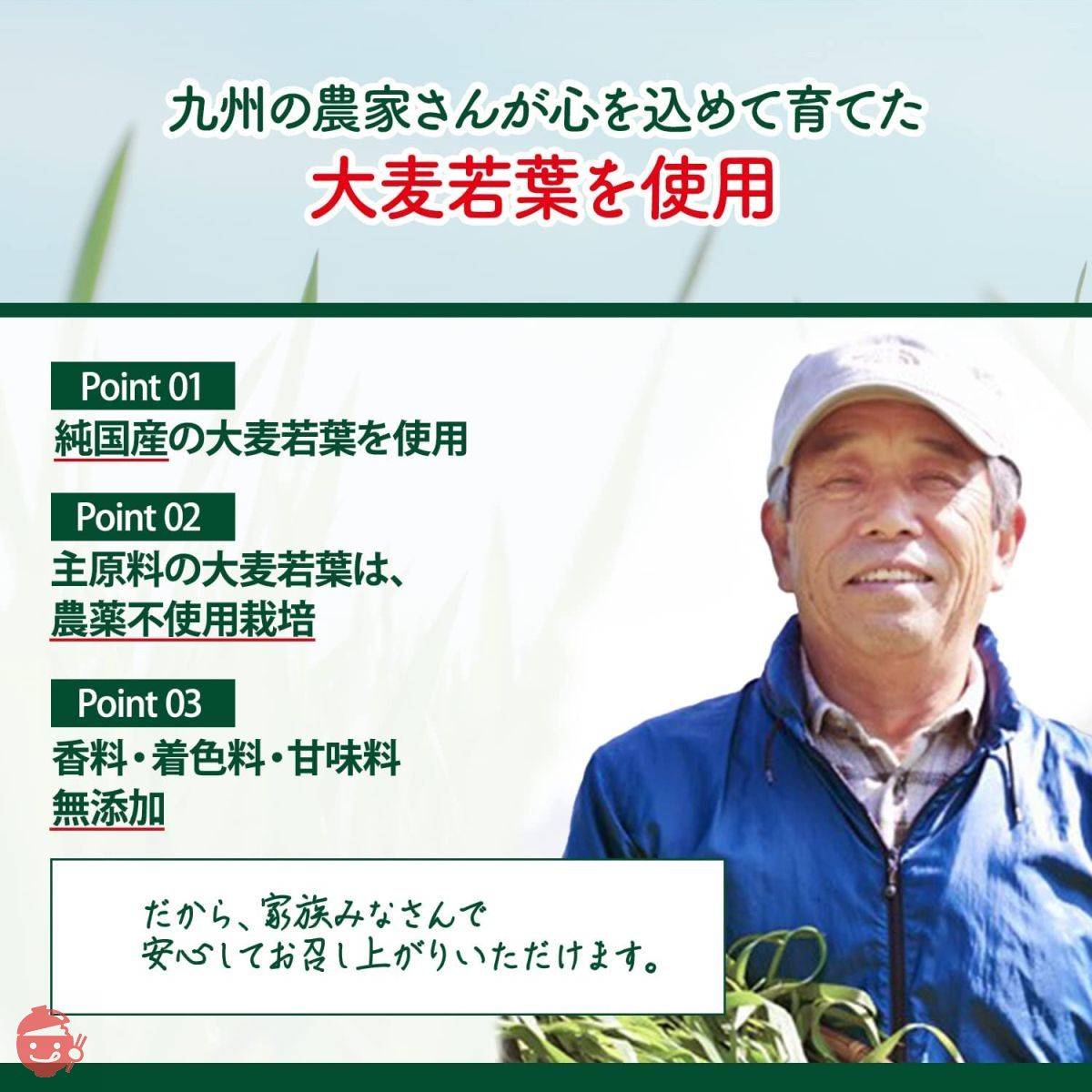 NIHON YAKKEN 金の青汁 純国産大麦若葉 100％粉末 (95パック