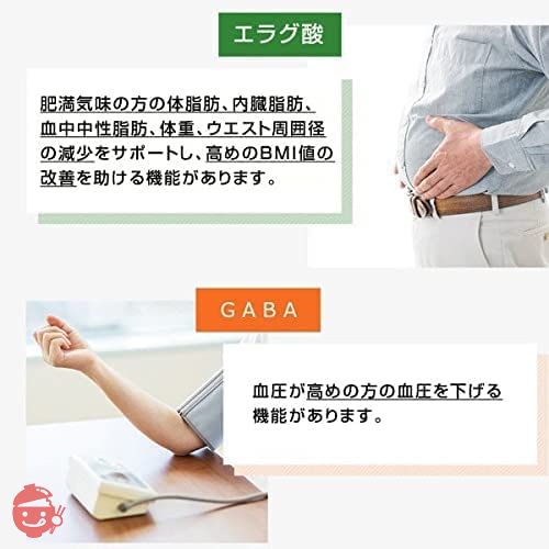 新日本製薬 Wの健康青汁 乳酸菌 国産 粉末 [機能性表示食品]の画像