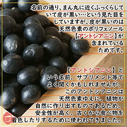 丹波 黒豆茶 5g×50pc 岡山県産 国産 ティーバッグ 黒豆ブランド 作州黒の画像