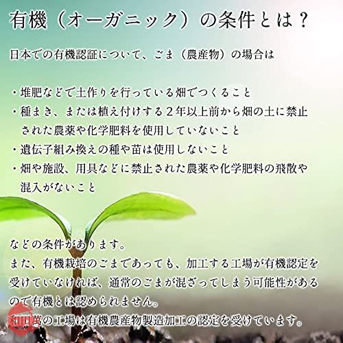 和田萬商店 有機ごまペースト 黒 250g 1 本の画像