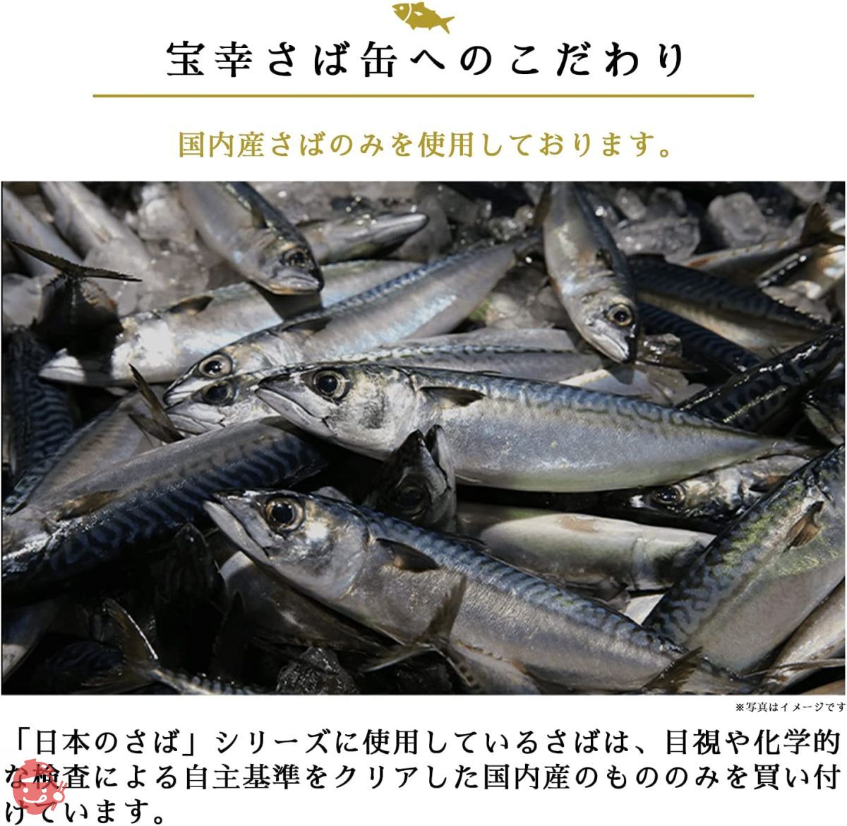 Hoko Japanese mackerel (boiled in miso) 190g x 12 cans