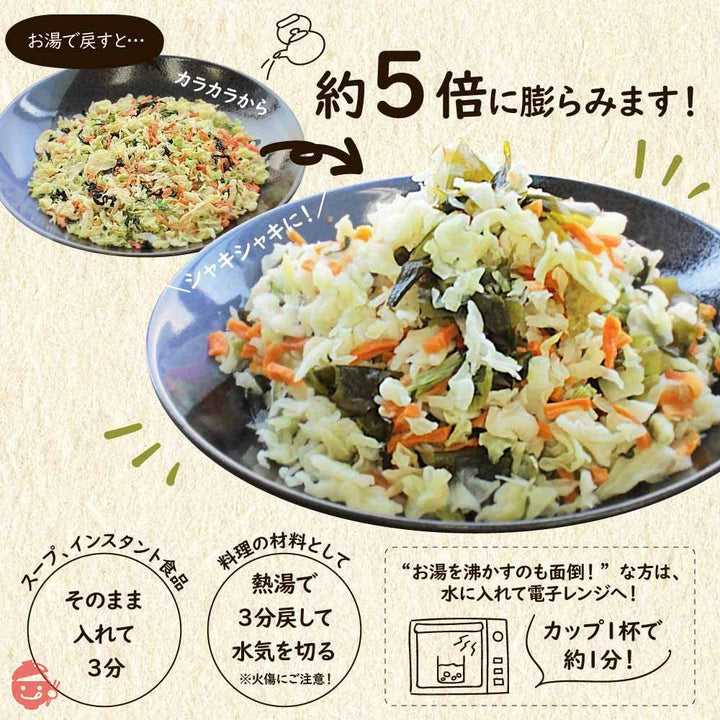 九州ドライベジ 乾燥野菜 九州産 野菜&わかめ ミックス 100g 2袋入りの画像