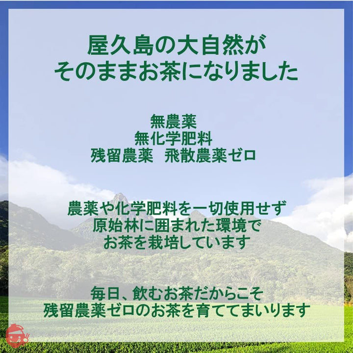 2023年 新茶 屋久島自然栽培茶「深山の露」 水出し/無農薬/無化学肥料/残留農薬ゼロ (100ｇ×2袋)の画像