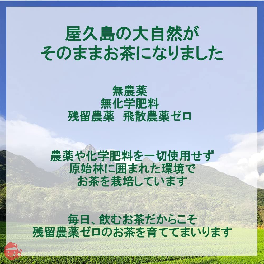 無農薬 無化学肥料 無農薬緑茶 粉末緑茶 緑茶 お茶 茶葉 粉末 パウダー パウダーティー 鹿児島茶 国産 屋久島 深山園 2番茶 粉末緑茶 160g (x 2)の画像