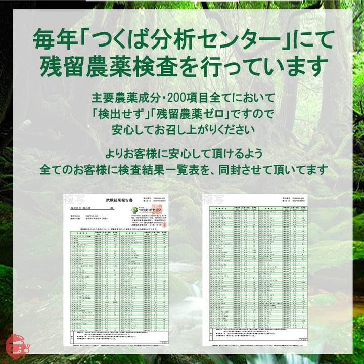 2023年 新茶 屋久島自然栽培茶「深山の露」 水出し/無農薬/無化学肥料/残留農薬ゼロ (100ｇ×2袋)の画像