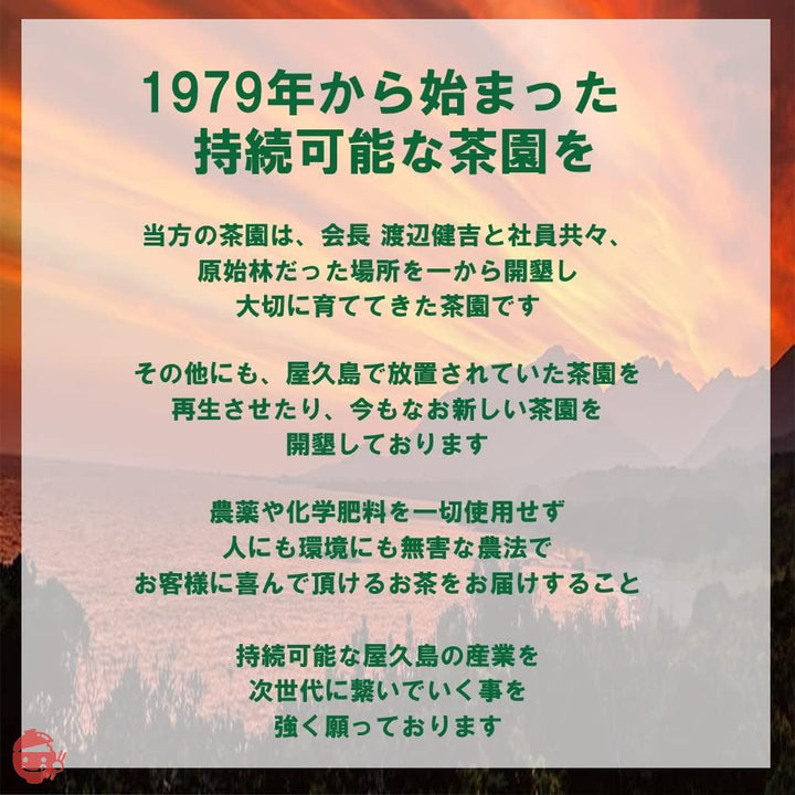 屋久島＠深山園 水出し《私たちが作った徳用煎茶》 無農薬/無化学肥料 (ほうじ煎茶 100g×3)の画像