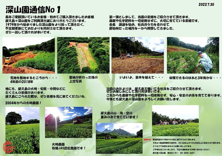 2023年 新茶 屋久島自然栽培茶「深山の露」 水出し/無農薬/無化学肥料/残留農薬ゼロ (100ｇ×2袋)の画像