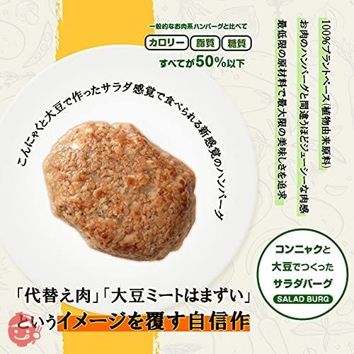 ビーガン食品 レトルト ヴィーガン食品 代替肉 ハンバーグ プラントベース 100%植物由来 大豆たんぱく加工品 常温保存 大豆ミート 代替肉 人工肉 サラダバーグ 90g×3 疑似ミート フェイクミートの画像