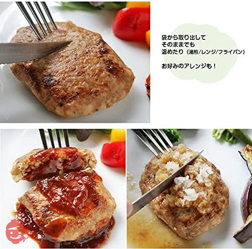 ビーガン食品 レトルト ヴィーガン食品 代替肉 ハンバーグ プラントベース 100%植物由来 大豆たんぱく加工品 常温保存 大豆ミート 代替肉 人工肉 サラダバーグ 90g×3 疑似ミート フェイクミートの画像