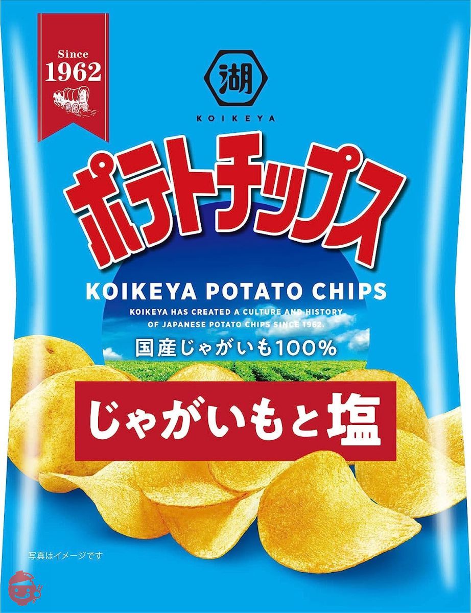 タキス 280ｇ 大容量 2袋 ＋豪華オマケ付き アスベル ゴミ箱 おしゃれ キッチン用 分別 屋外 大型 大容量